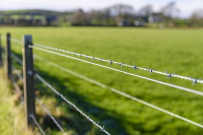 Barbed Wire Fence Installation detail
